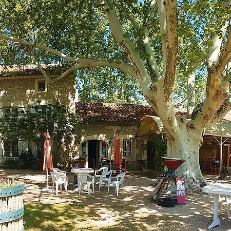 Châteauneuf-de-Gadagne Mas Des Vertes Rives Bed & Breakfast エクステリア 写真